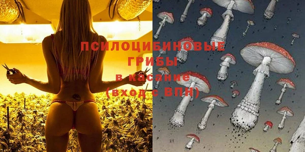 МДПВ Горно-Алтайск