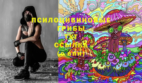 mix Горняк