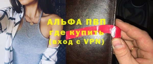 индика Саяногорск