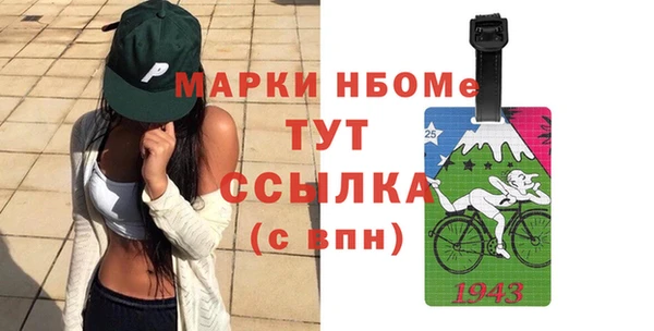 индика Саяногорск