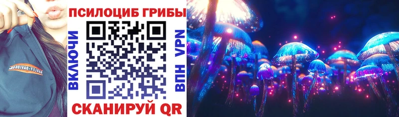 mega как войти  где можно купить   Архангельск  Галлюциногенные грибы Psilocybe 