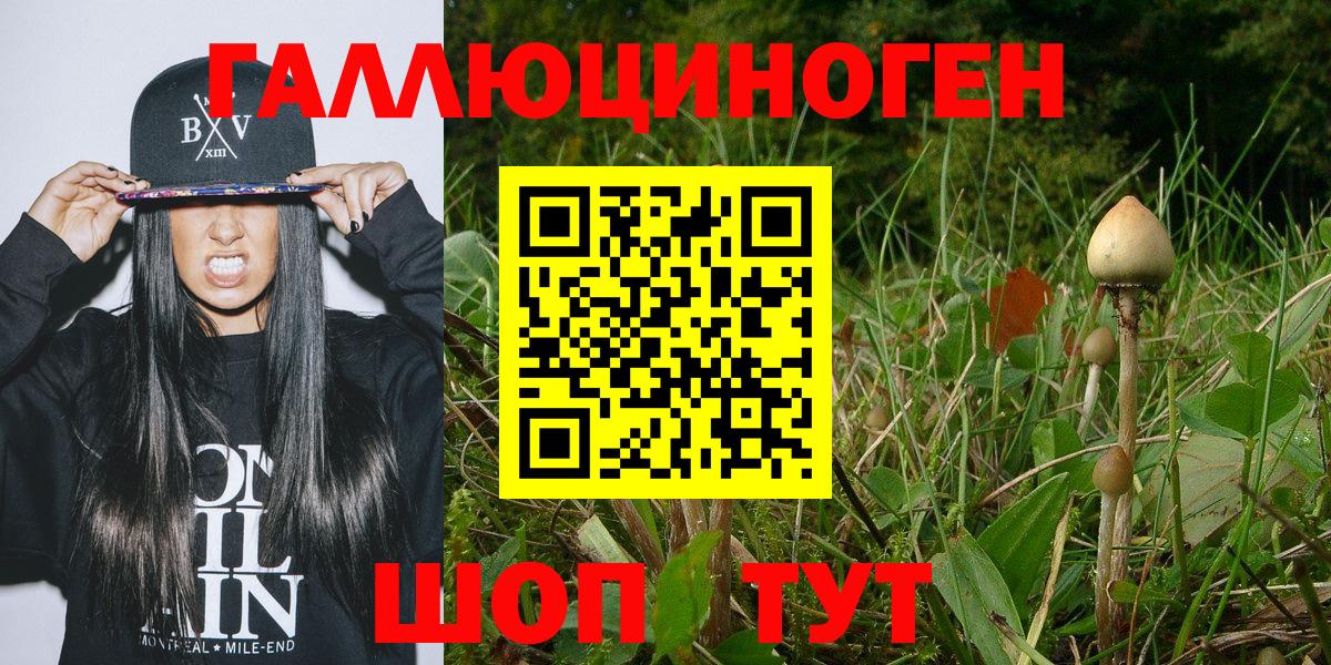 Галлюциногенные грибы мухоморы  купить наркотики сайты  Архангельск  Вход с VPN 