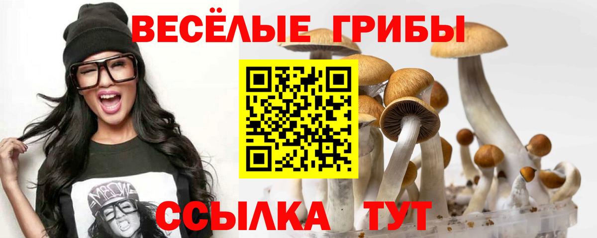 Галлюциногенные грибы прущие грибы Архангельск